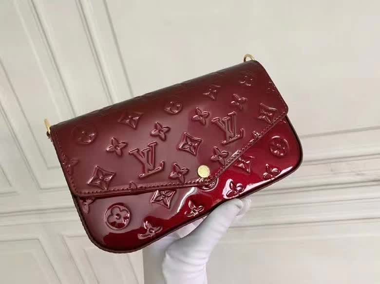 LV Purse