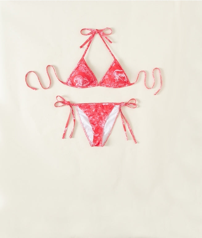 Designer Swimsuits